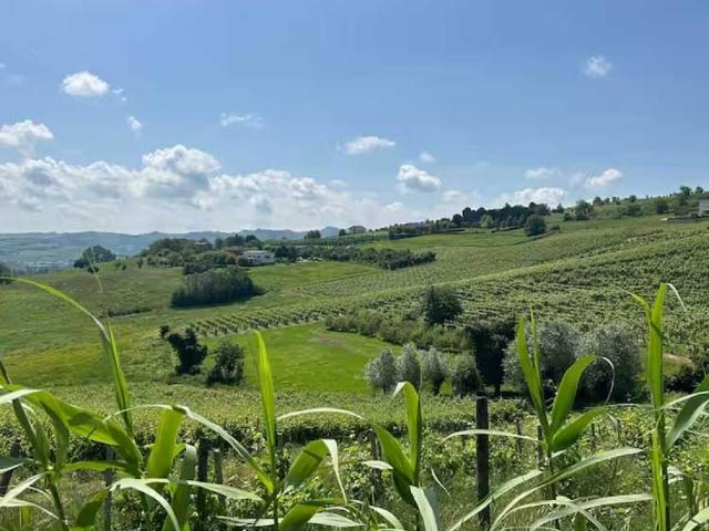 Villa Indipendente in vendita a Piemonte, Asti