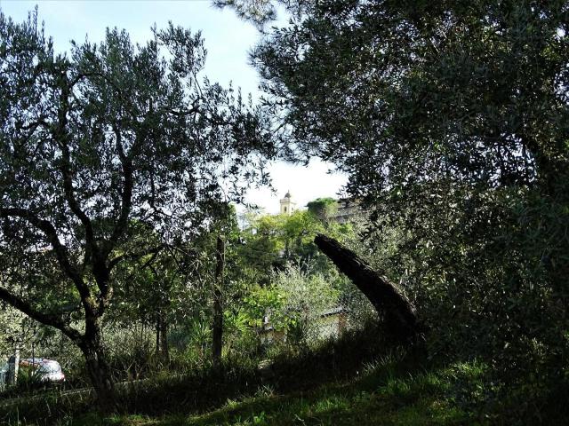 Villa Indipendente in vendita a La Scala, San Miniato
