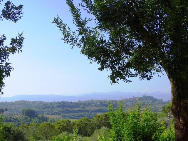 Villa Indipendente in vendita a San Miniato, Toscana