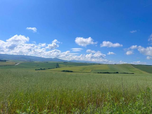 Villa Indipendente in vendita a Mezzopiano II, San Miniato