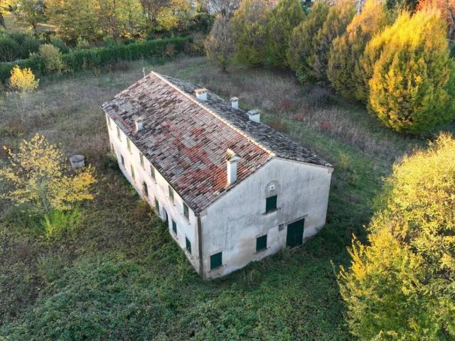 Villa Indipendente in vendita a San Pietro Viminario, Veneto