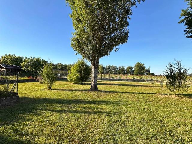 Villa Indipendente in vendita a Unione Comuni Modenesi Area Nord, San Possidonio