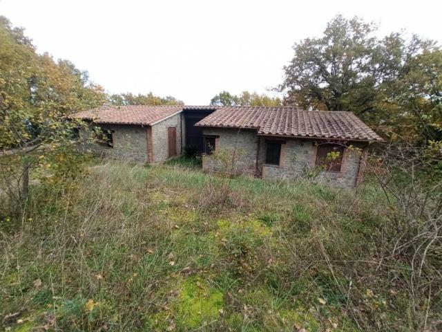 Villa Indipendente in vendita a San Venanzo, Umbria