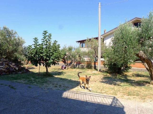 Villa Indipendente in vendita a Calabria, Cosenza