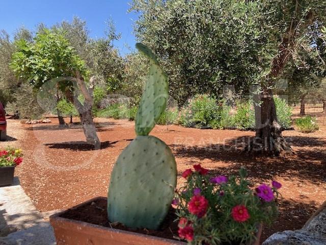 Villa Indipendente in vendita a Puglia, Brindisi