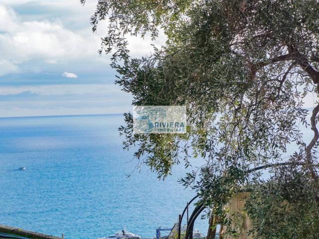 Villa Indipendente in vendita a Bussana, Sanremo