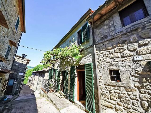 Villa Indipendente in vendita a Unione dei Comuni Montani Amiata Grossetana, Santa Fiora