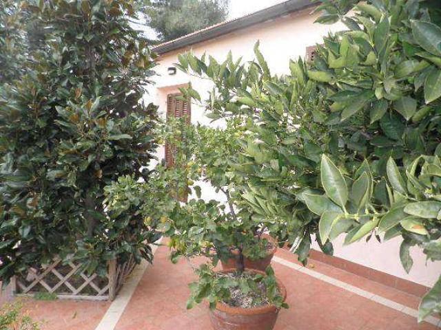 Villa Indipendente in vendita a Santa Luce, Toscana