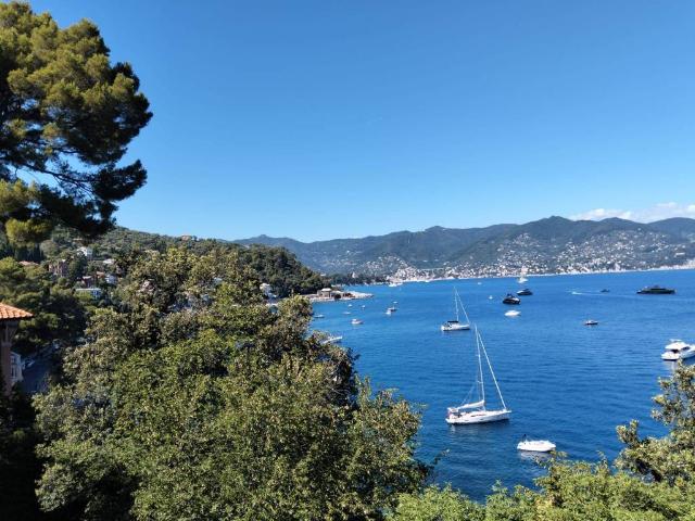 Villa Indipendente in vendita a San Lorenzo Della Costa, Liguria