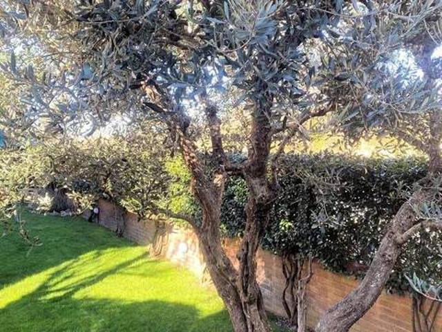 Villa Indipendente in vendita a Montecalvoli, Santa Maria a Monte