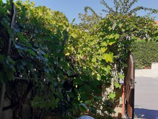 Villa Indipendente in vendita a Calabria, Cosenza