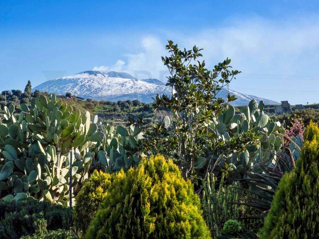 Villa Indipendente in vendita a Santa Maria Di Licodia, Sicilia