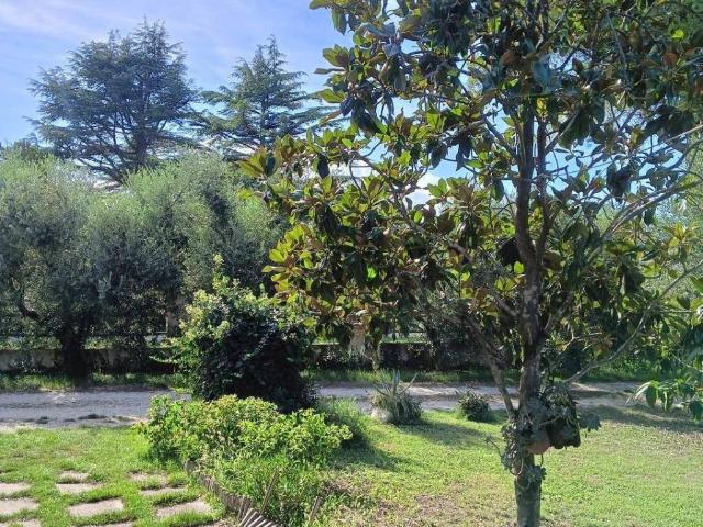 Villa Indipendente in vendita a Marche, Fermo