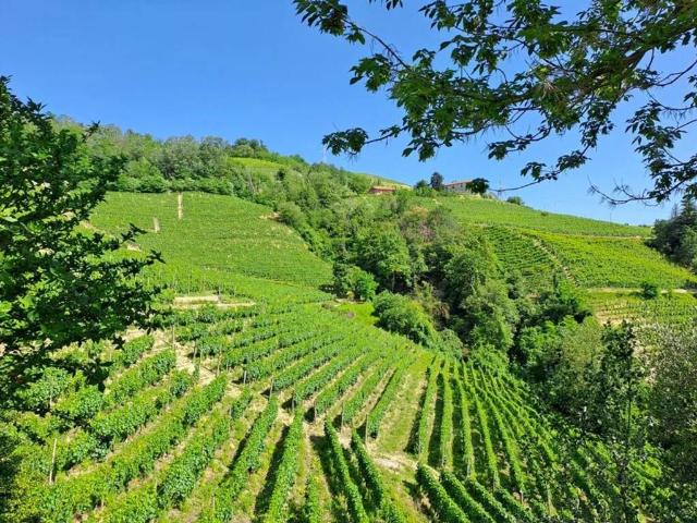 Villa Indipendente in vendita a Piemonte, Cuneo