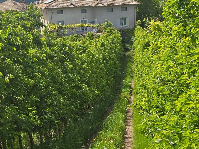 Villa Indipendente in vendita a Comunità della Val di Non, Sanzeno