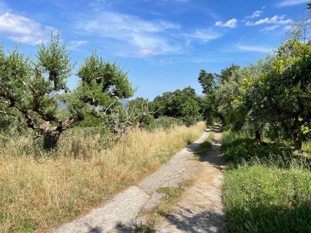 Villa Indipendente in vendita a Calabria, Cosenza