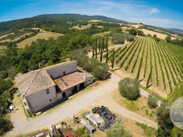 Villa Indipendente in vendita a Sarteano, Toscana