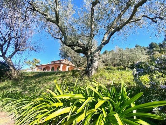 Villa Indipendente in vendita a Sarzana, Liguria