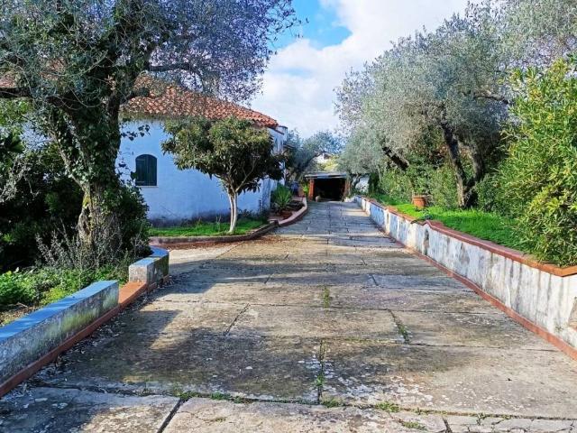 Villa Indipendente in vendita a Cala Di Volpe, Sardigna/Sardegna