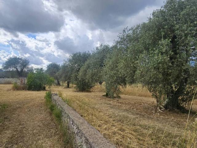Villa Indipendente in vendita a Cala Di Volpe, Sardigna/Sardegna