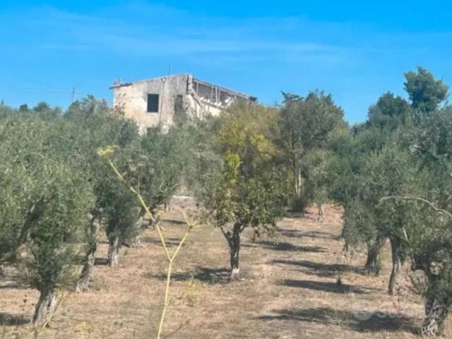 Villa Indipendente in vendita a Cala Di Volpe, Sardigna/Sardegna