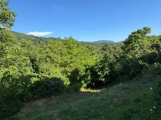 Villa Indipendente in vendita a Savignone, Liguria