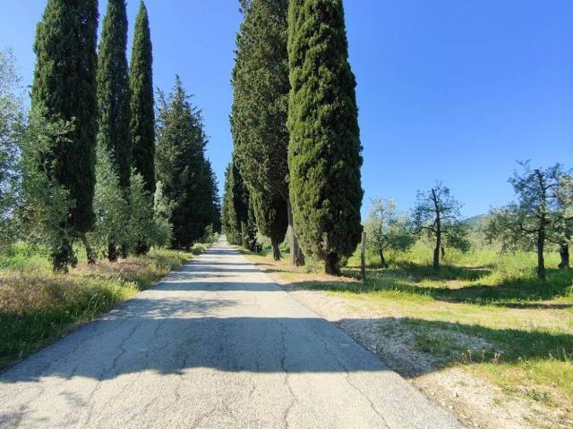 Villa Indipendente in vendita a Scandicci, Toscana