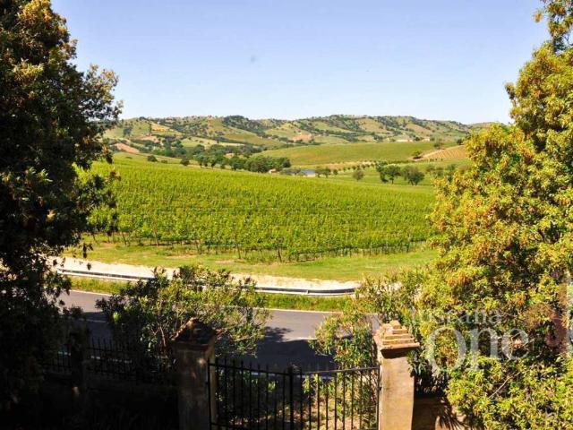 Villa Indipendente in vendita a Scansano, Toscana