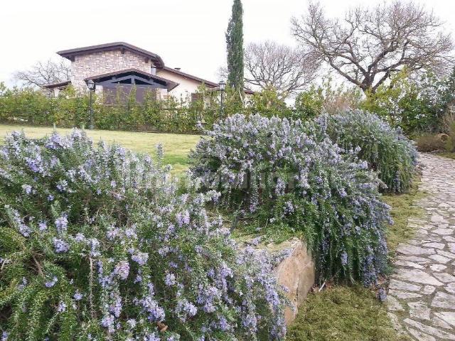 Villa Indipendente in vendita a Scansano, Toscana