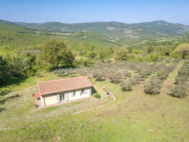 Villa Indipendente in vendita a Scansano, Toscana