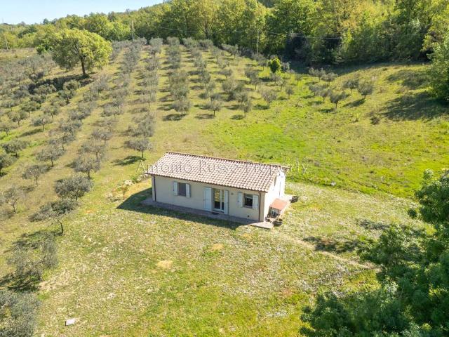 Villa Indipendente in vendita a Scansano, Toscana