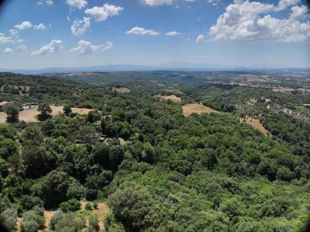 Villa Indipendente in vendita a Montiano, Magliano In Toscana