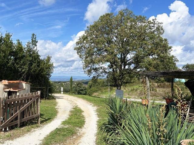 Villa Indipendente in vendita a Scansano, Toscana