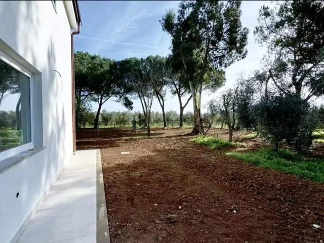 Villa Indipendente in vendita a Scansano, Toscana