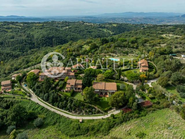 Villa Indipendente in vendita a Casa Bardi, Scansano
