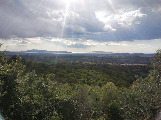 Villa Indipendente in vendita a Scansano, Toscana