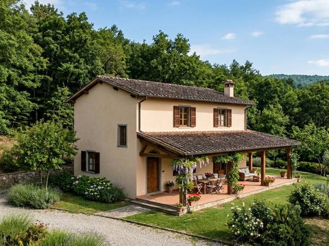 Villa Indipendente in vendita a Scansano, Toscana