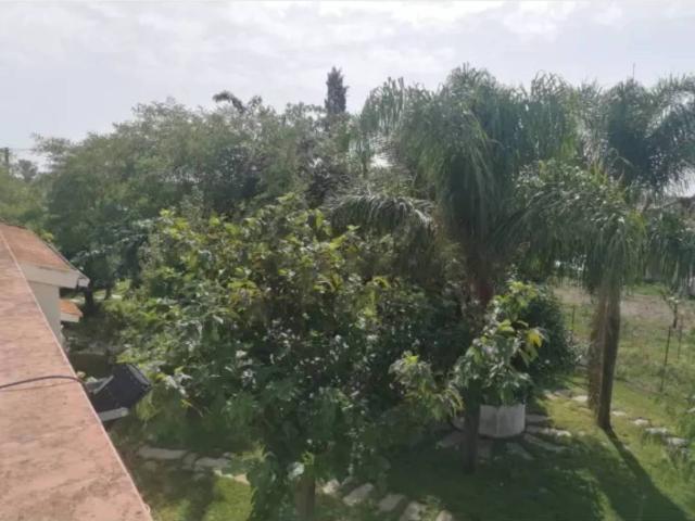 Villa Indipendente in vendita a Scanzano Jonico, Basilicata