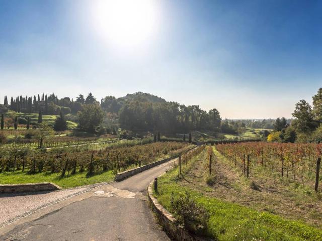 Villa Indipendente in vendita a Scanzorosciate, Lombardia