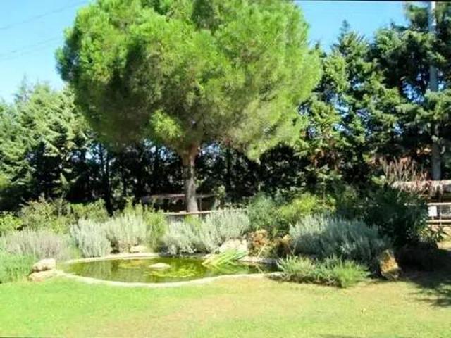 Villa Indipendente in vendita a Zona 167 Scarlino, Scarlino