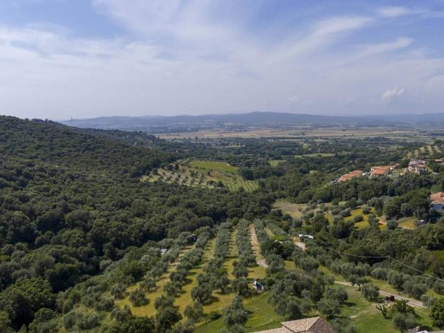 Villa Indipendente in vendita a Zona 167 Scarlino, Scarlino