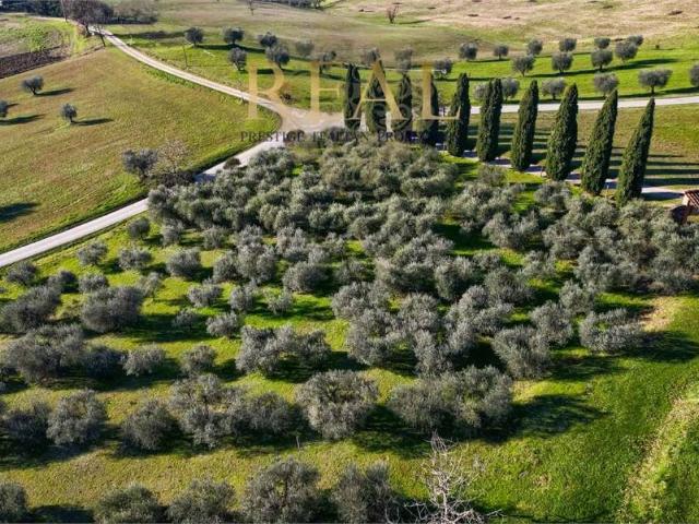 Villa Indipendente in vendita a Scarperia e San Piero, Toscana