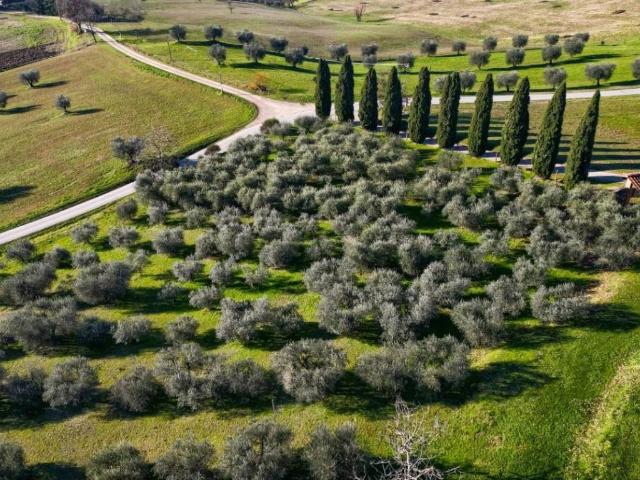 Villa Indipendente in vendita a Scarperia e San Piero, Scarperia