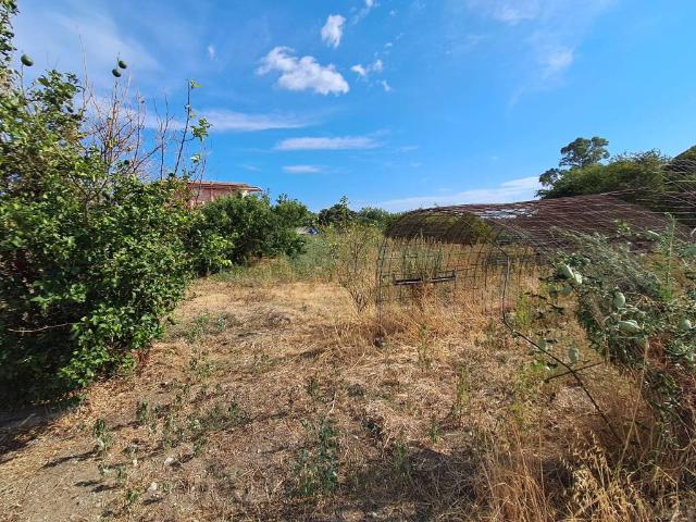 Villa Indipendente in vendita a Calabria, Catanzaro
