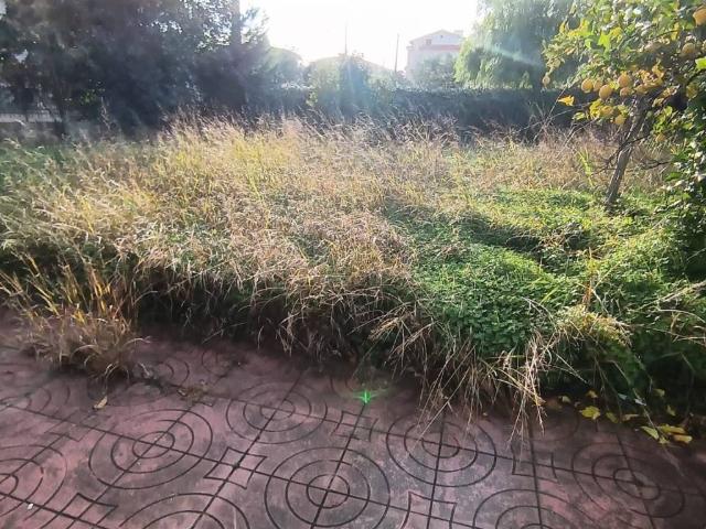 Villa Indipendente in vendita a Calabria, Catanzaro