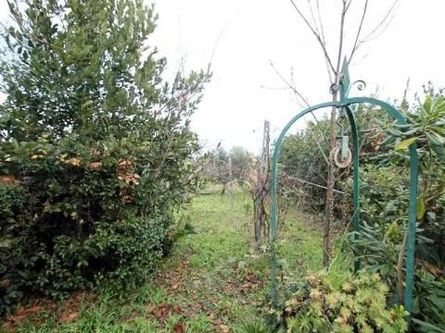 Villa Indipendente in vendita a Marche, Ancona