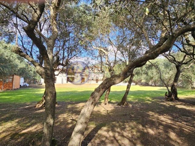 Villa Indipendente in vendita a Frasso, Seravezza