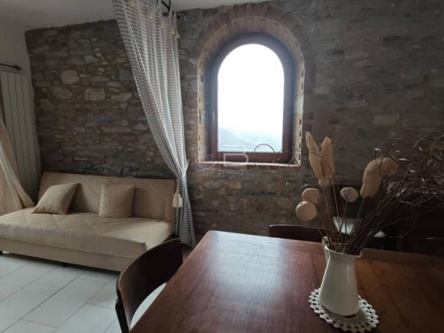 Villa Indipendente in vendita a La Cappella, Seravezza