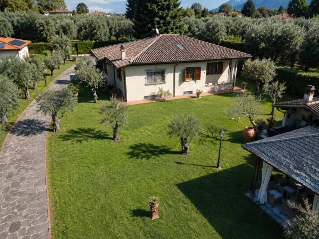 Villa Indipendente in vendita a Ripa, Seravezza