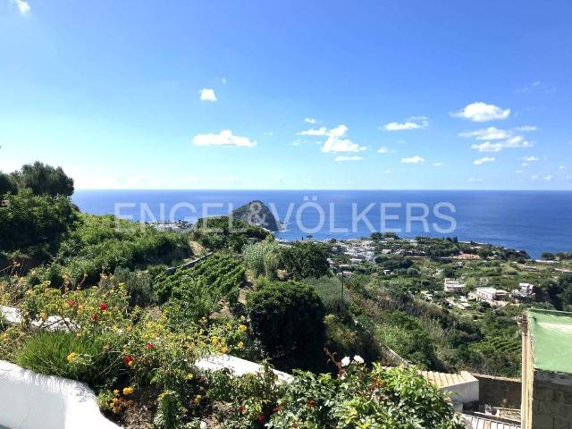 Villa Indipendente in vendita a Forio, Campania